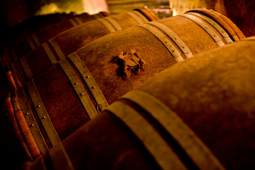 Barriques de vin